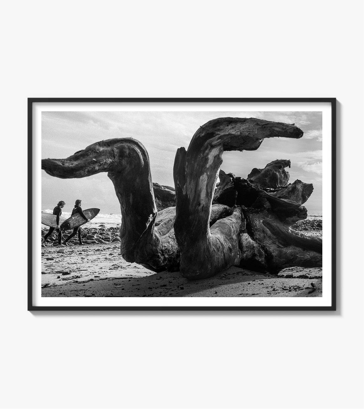 Driftwood surfers