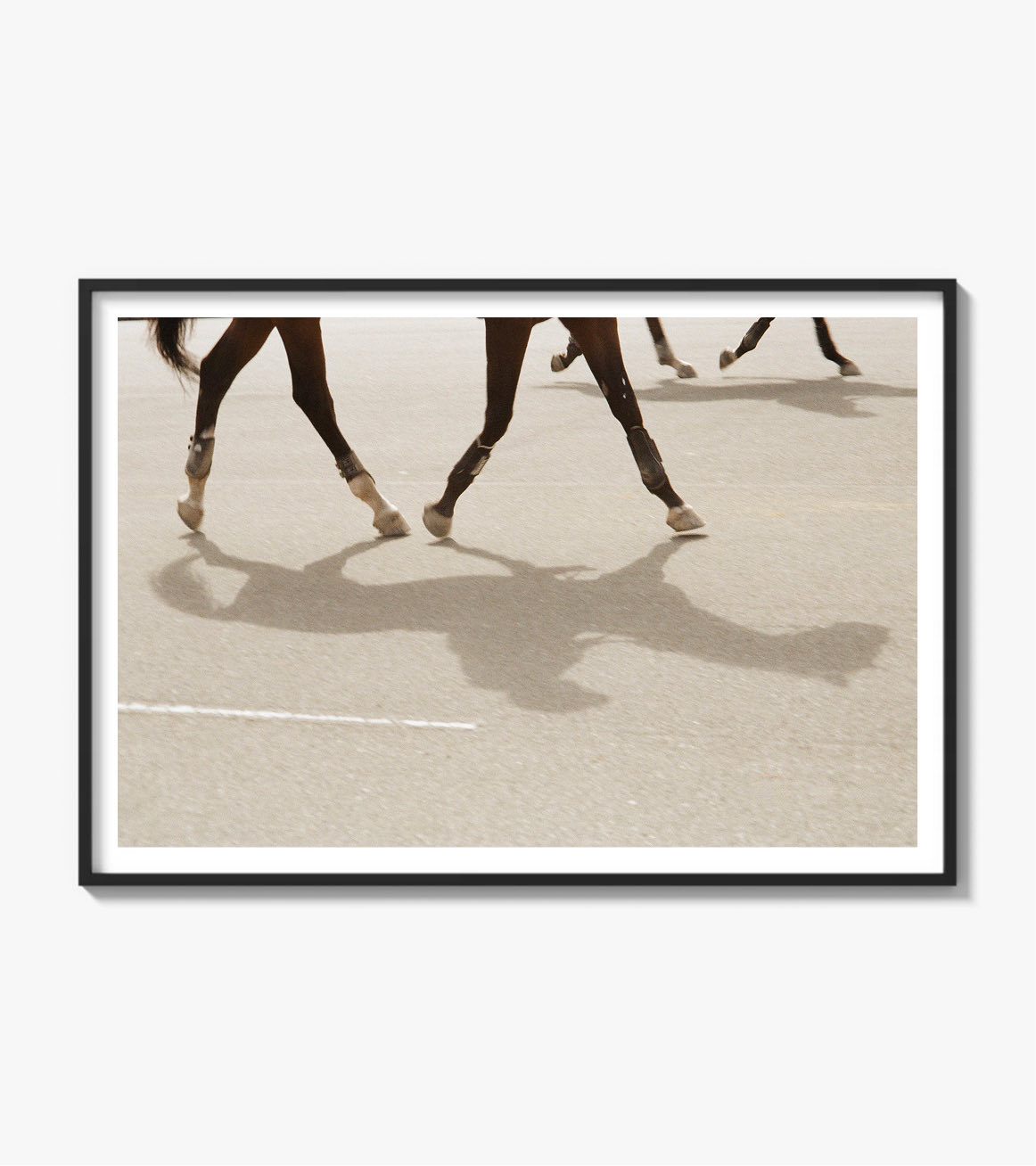 Horses